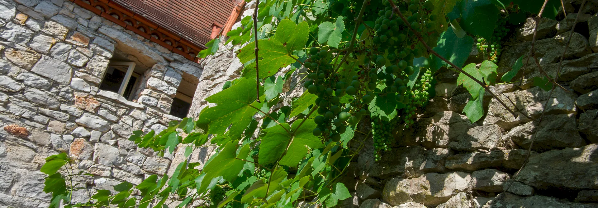 Nos engagements et labels