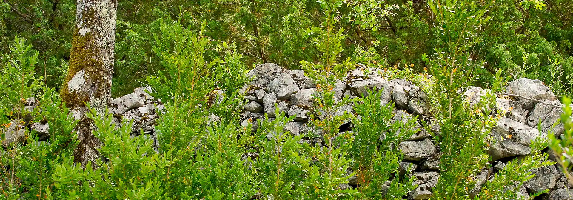 camping nature proche de quercy