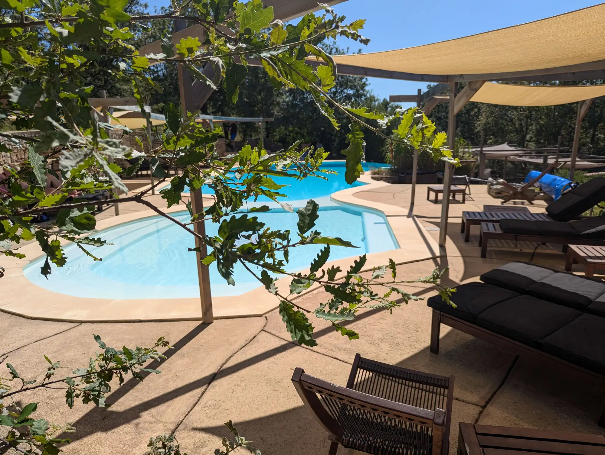 piscine mas de nadal entre les arbre