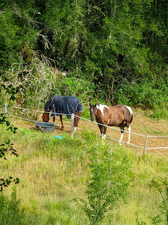 vacances avec son cheval dans le lot